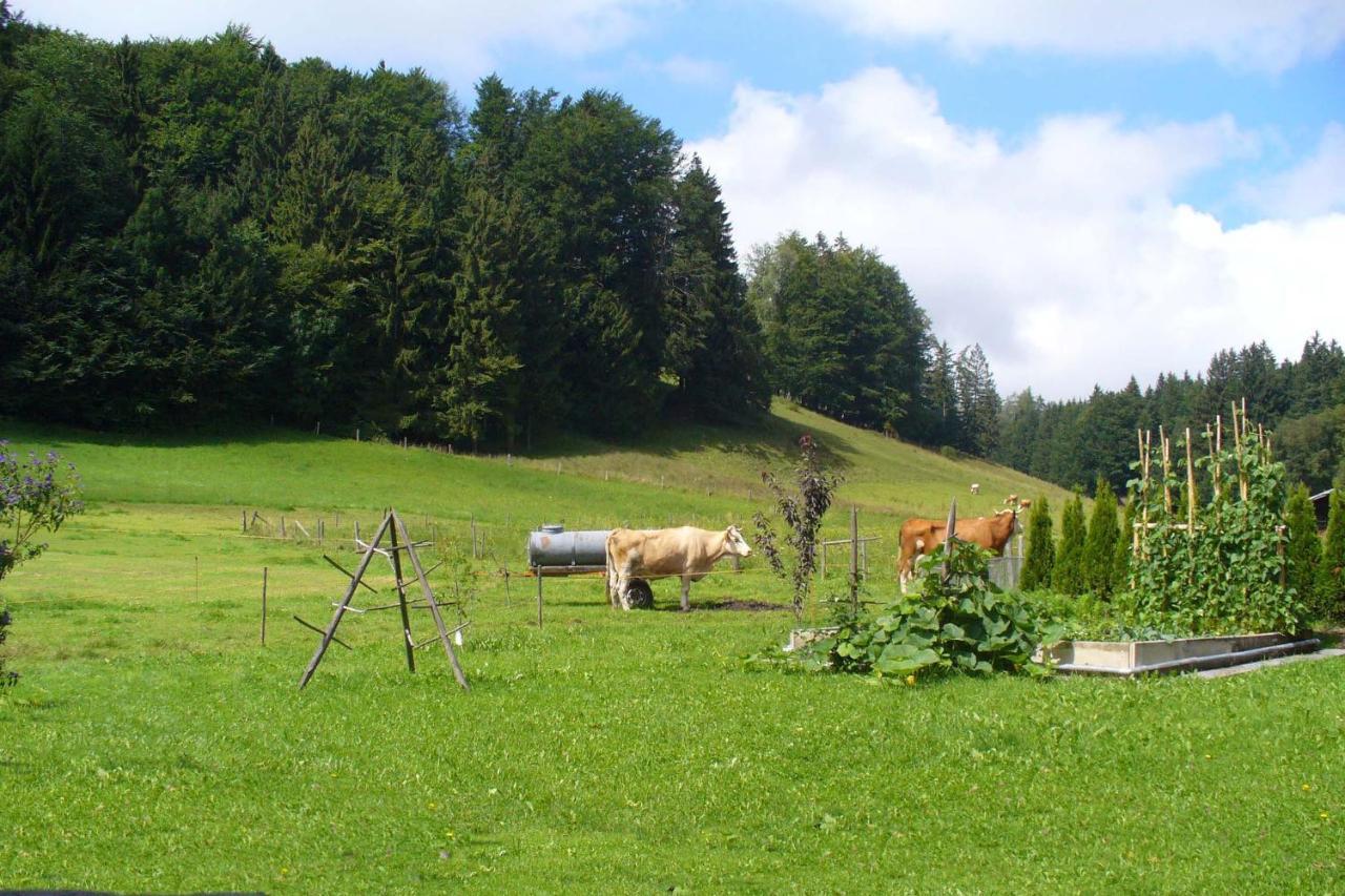 Ferienwohnungen Wanderparadies Aschau im Chiemgau Exterior foto